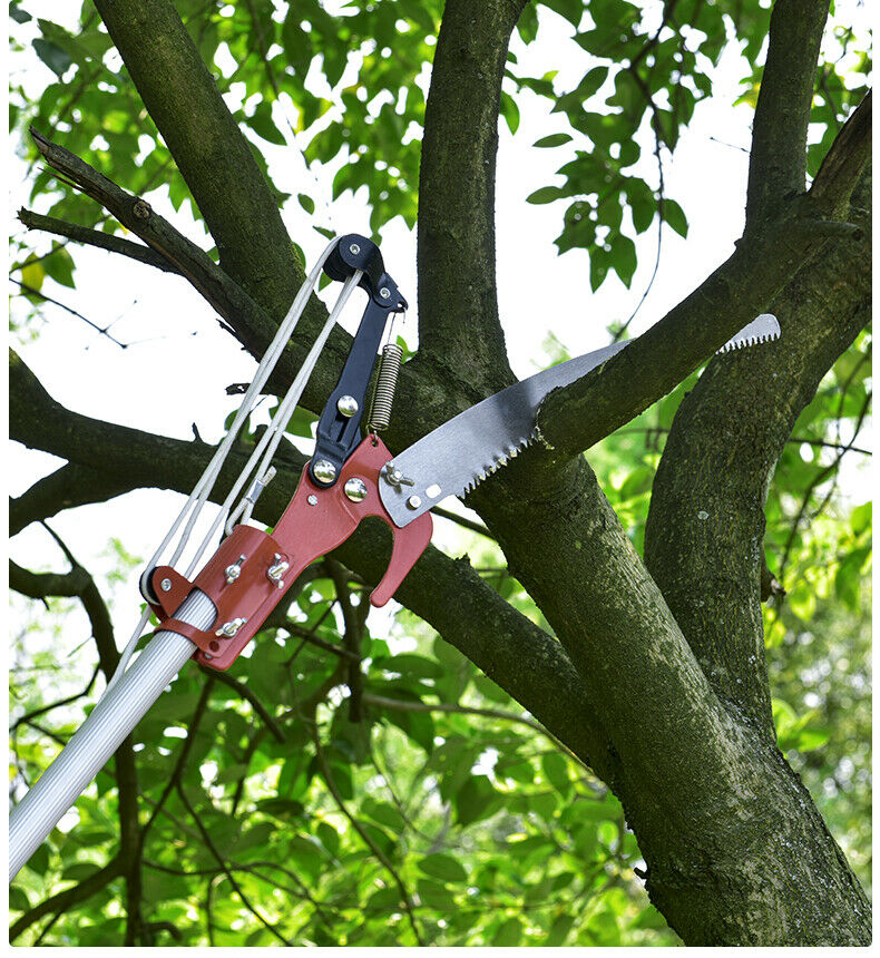 Extendable Tree Pruner Garden Tool Pole Saw Branch Long Reach Cutter
