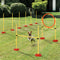 Outdoor 3 Piece Dog Agility Obstacle Course